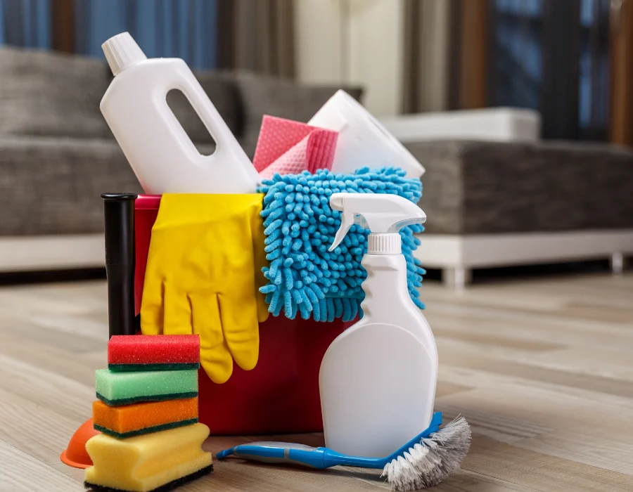 Cleaning & Domestic Support Services